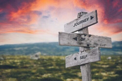 A journey to self-discovery - ACE American Institute